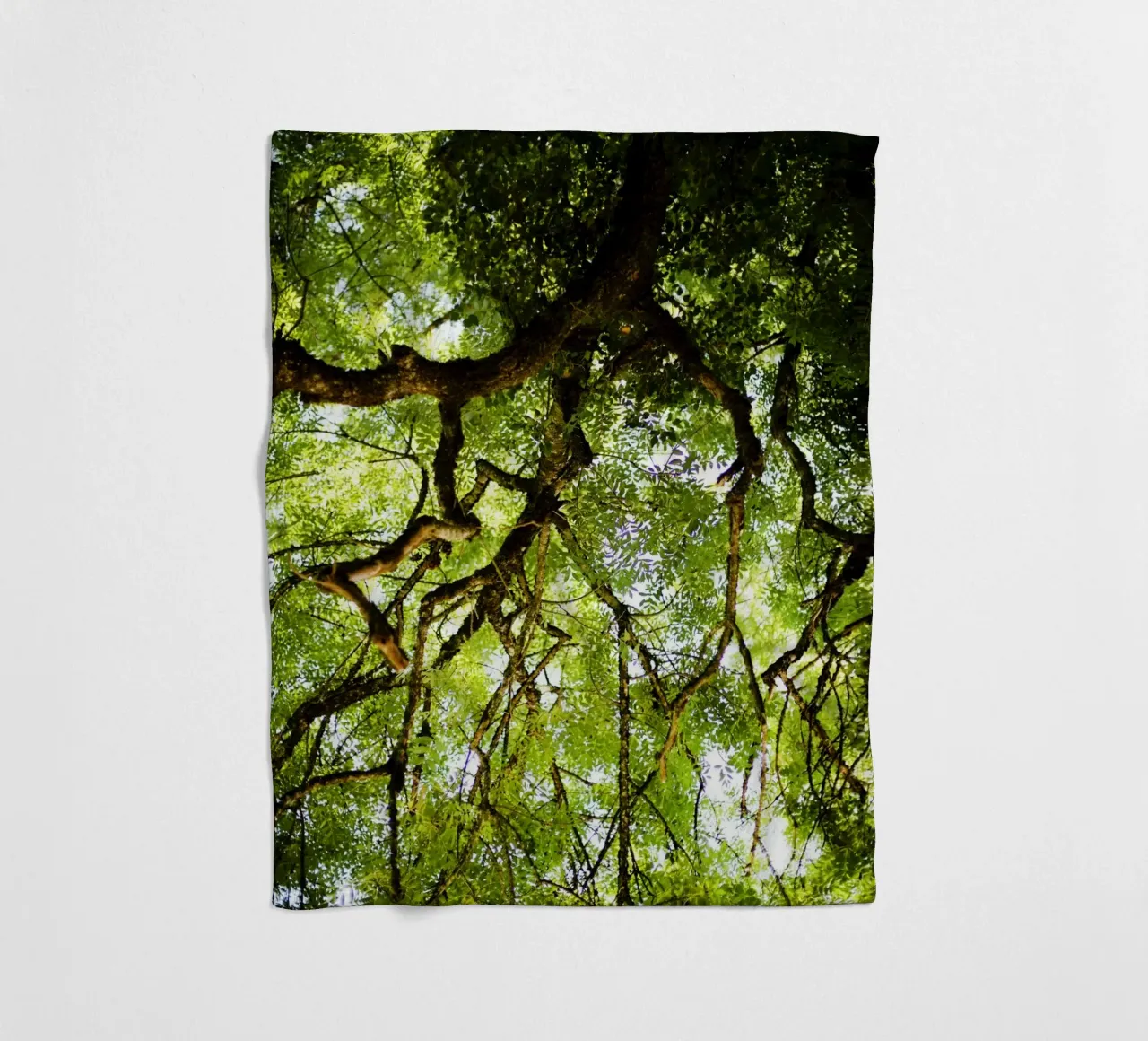 Baum in Bourgogne - Franche Comté, Frankreich plaid polaire de fotokunst