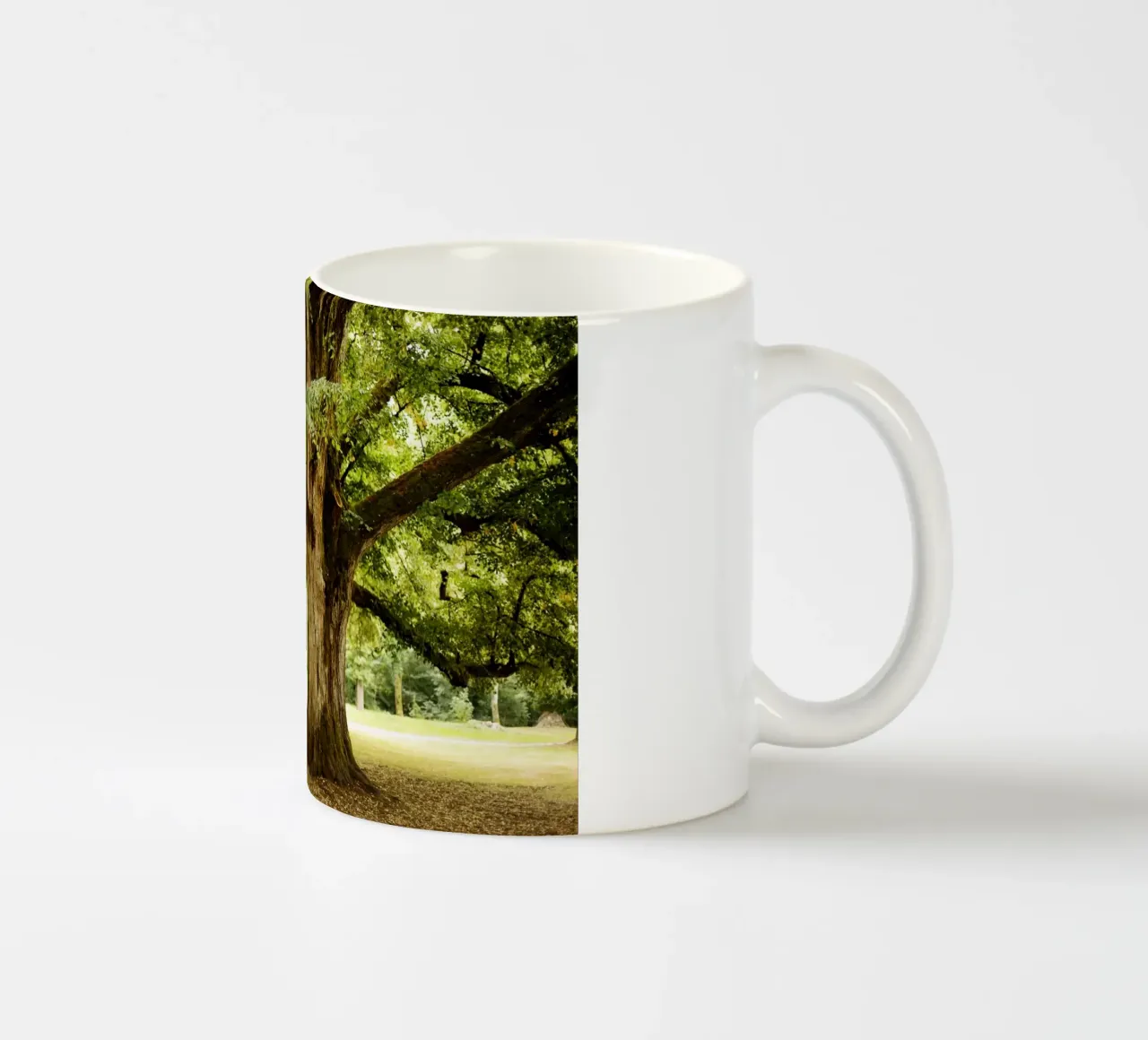 Bole in Bourgogne - Franche Comté, Frankreich tazza in ceramica da Simon Koy