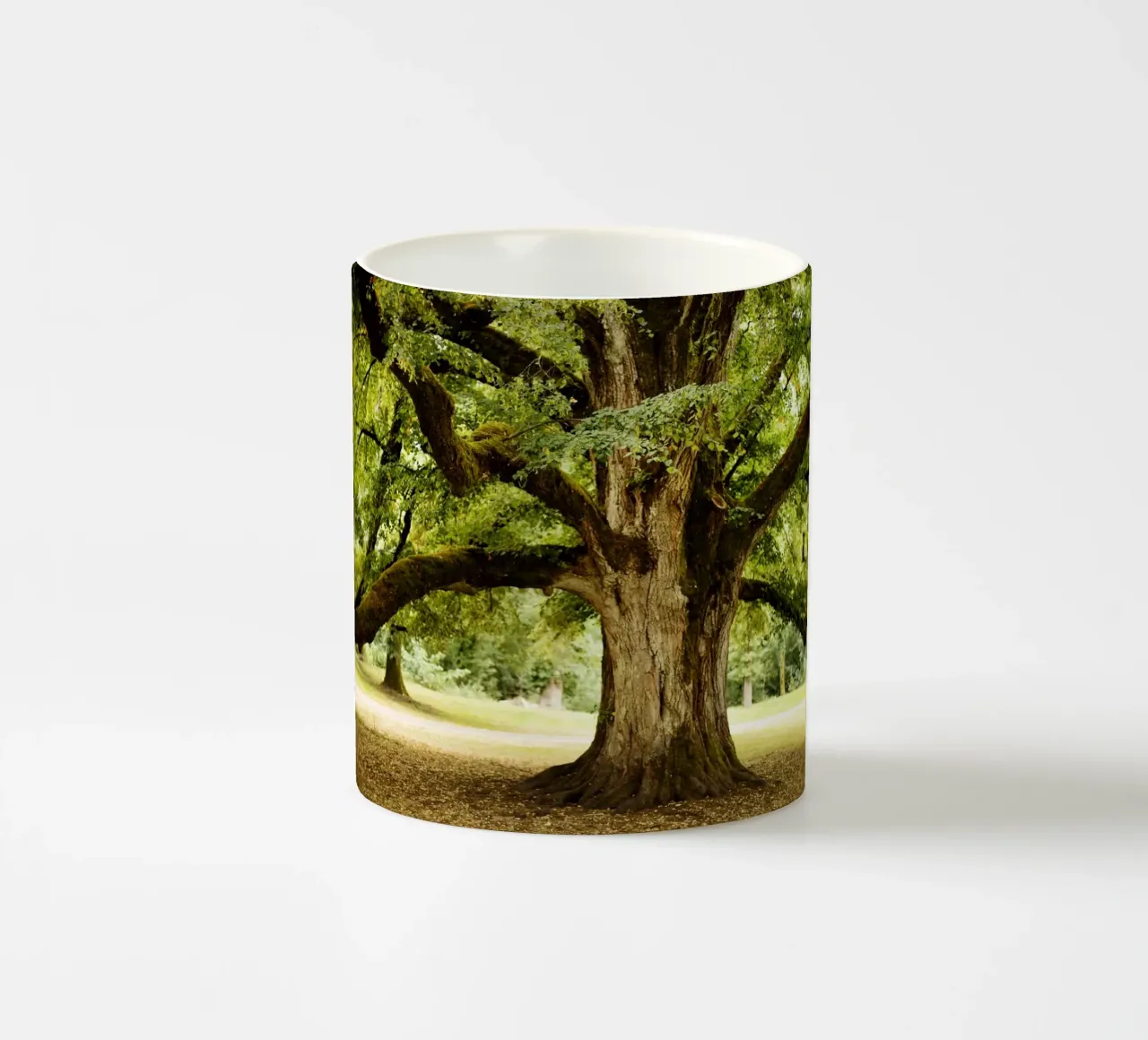 Bole in Bourgogne - Franche Comté, Frankreich tazza in ceramica da Simon Koy