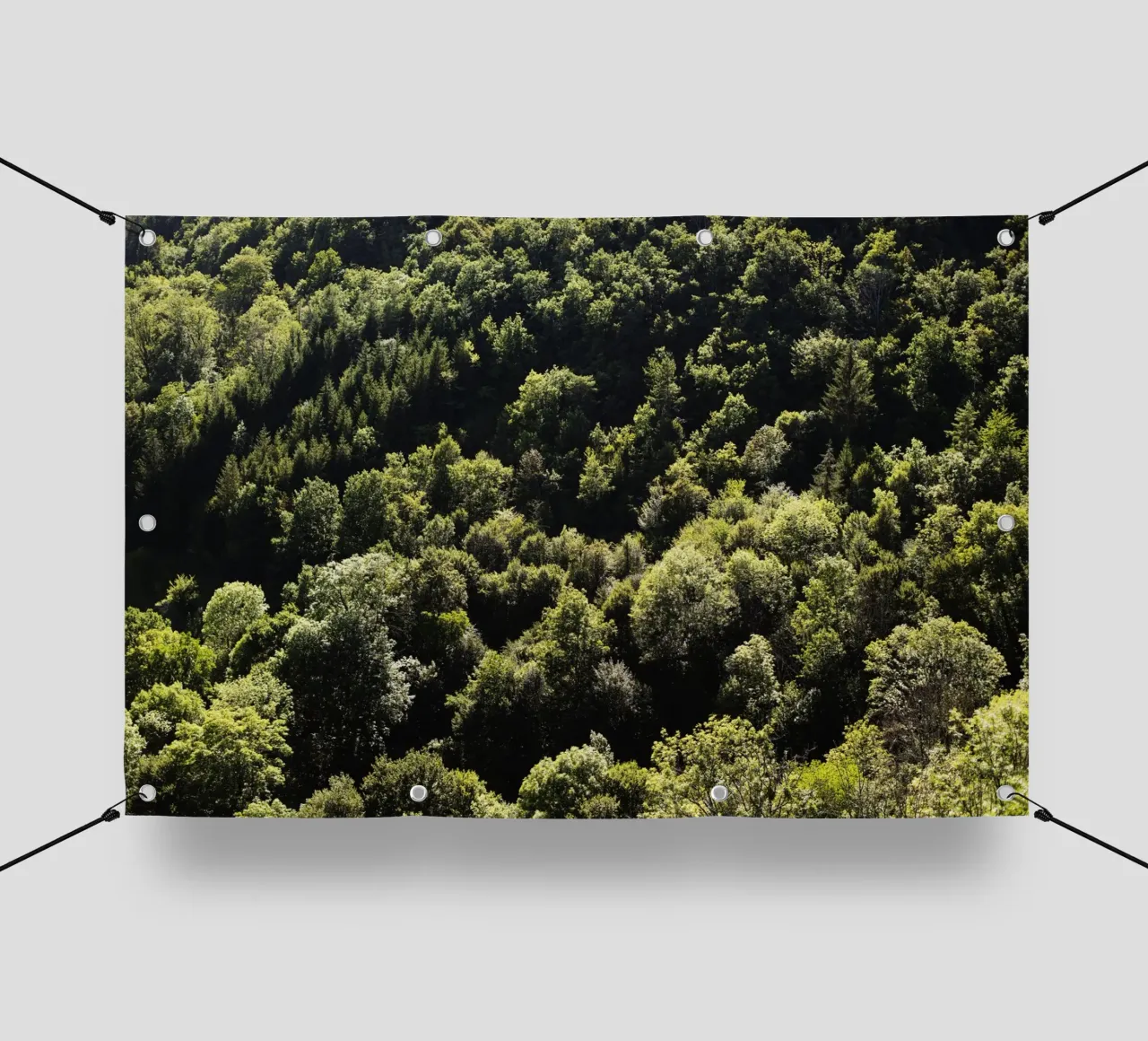 Wald in Bourgogne - Franche Comté, Frankreich telo in pvc da Simon Koy