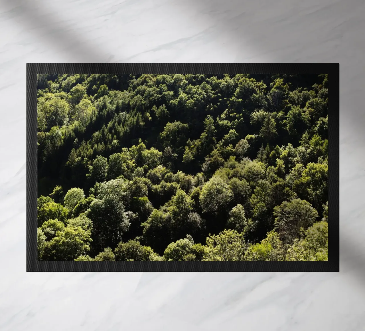 Wald in Bourgogne - Franche Comté, Frankreich zerbino da Simon Koy