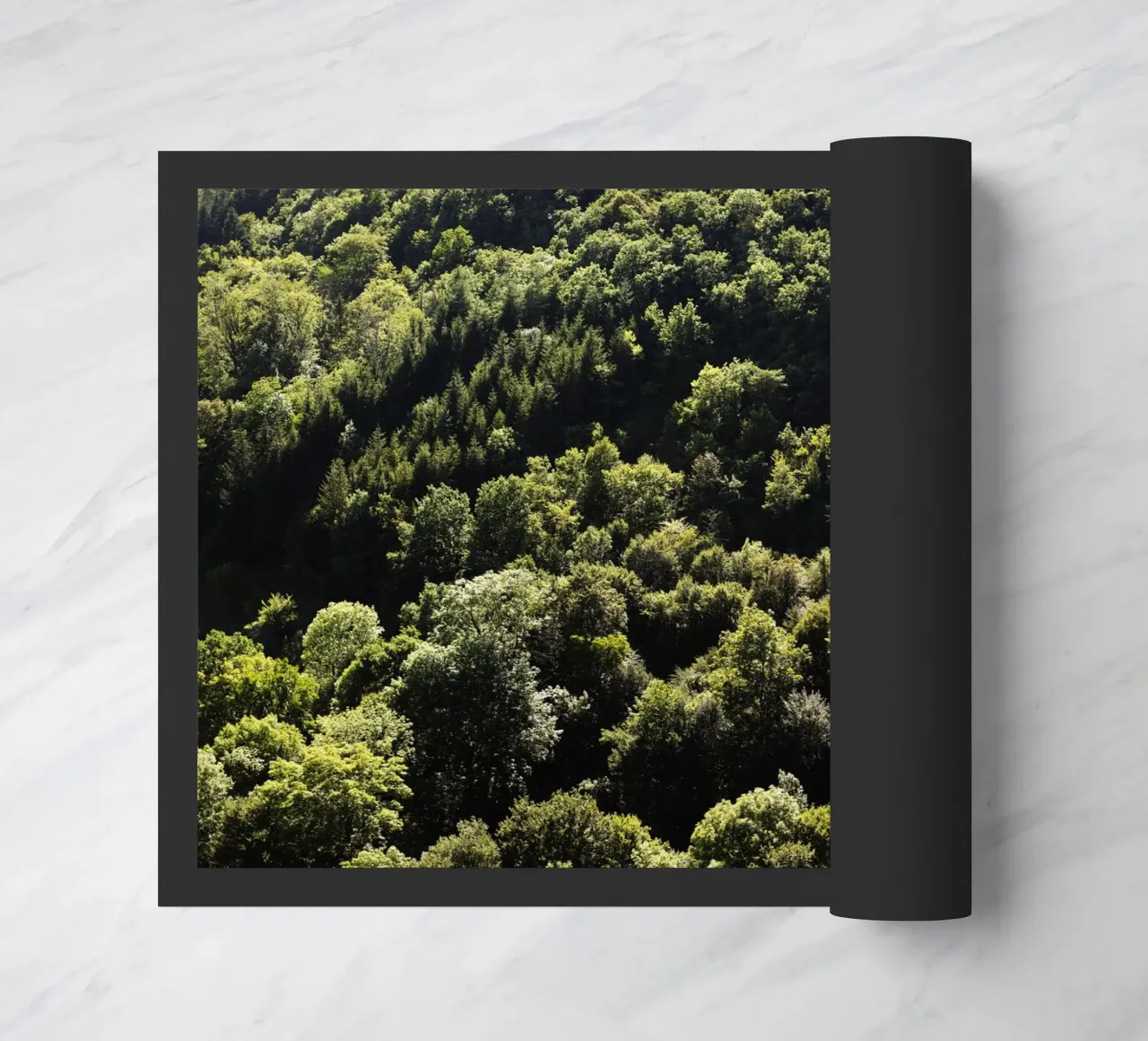 Wald in Bourgogne - Franche Comté, Frankreich zerbino da Simon Koy