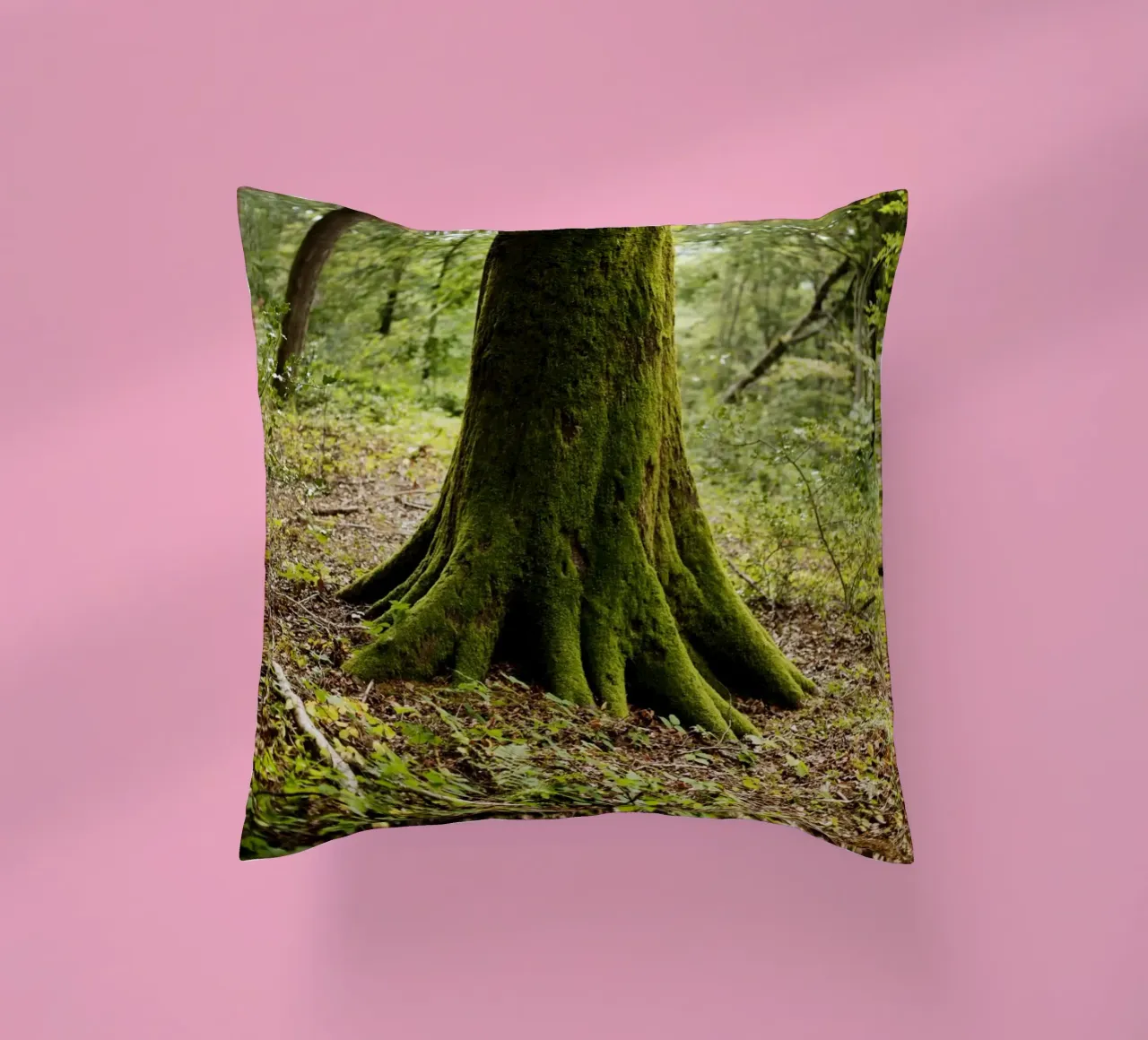 Baum in Bourgogne - Franche Comté, Frankreich cuscino da Simon Koy