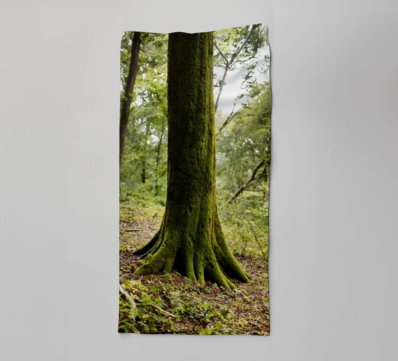 Baum in Bourgogne - Franche Comté, Frankreich asciugamano da bagno da Simon Koy