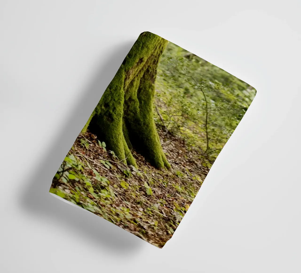 Baum in Bourgogne - Franche Comté, Frankreich asciugamano da bagno da Simon Koy