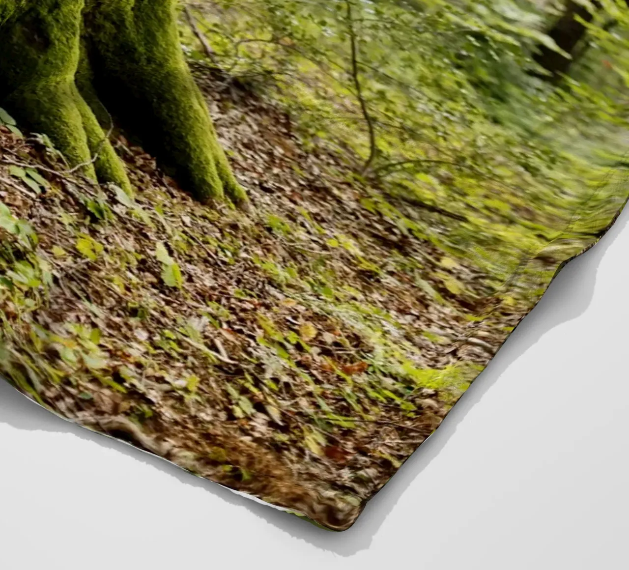 Baum in Bourgogne - Franche Comté, Frankreich coperta in pile da Simon Koy