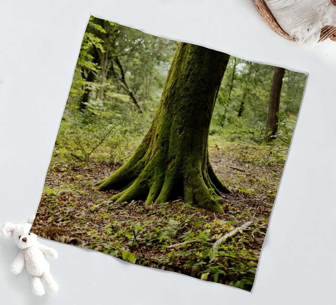 Baum in Bourgogne - Franche Comté, Frankreich coperta in pile da Simon Koy