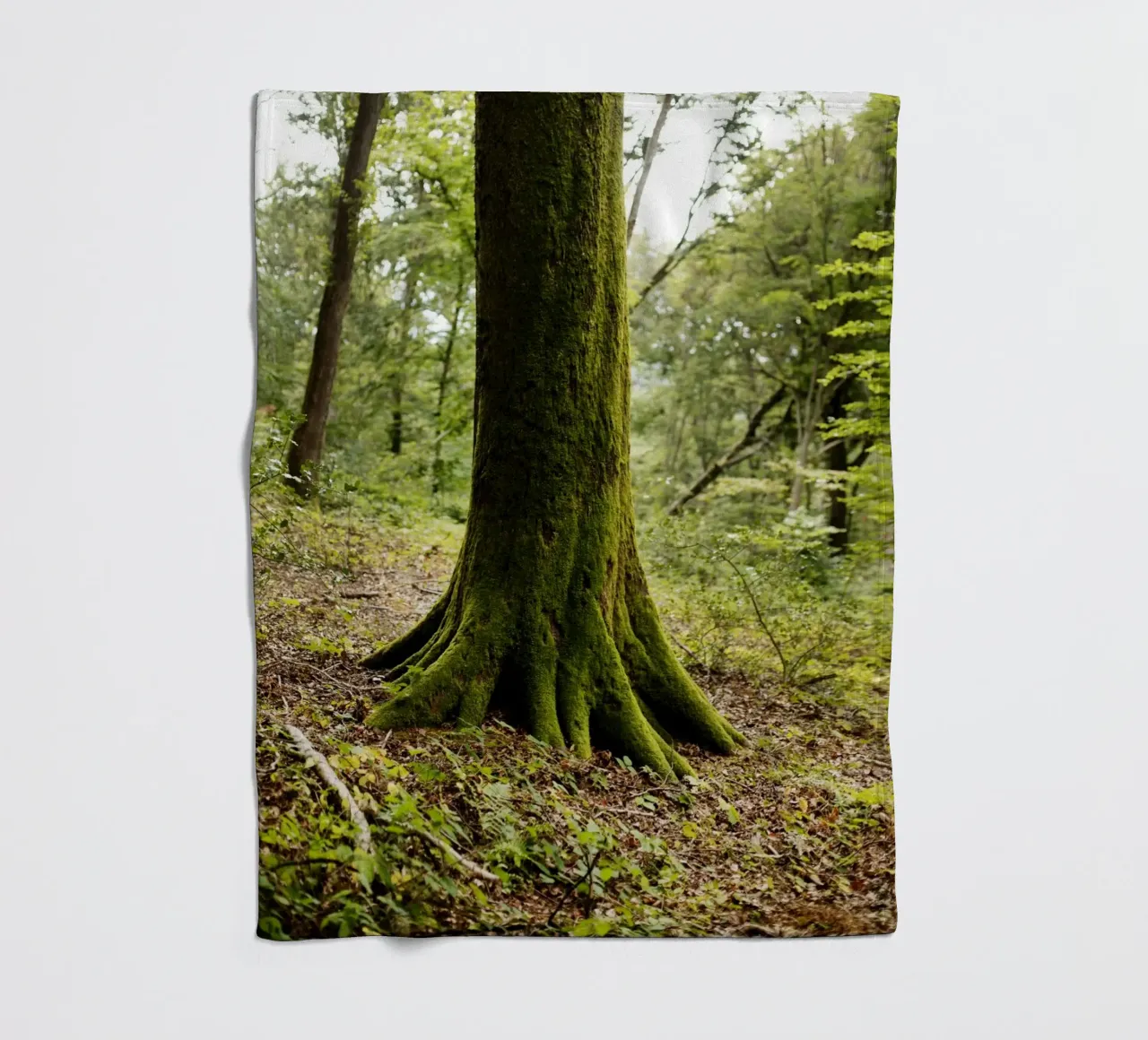 Baum in Bourgogne - Franche Comté, Frankreich coperta in pile da Simon Koy