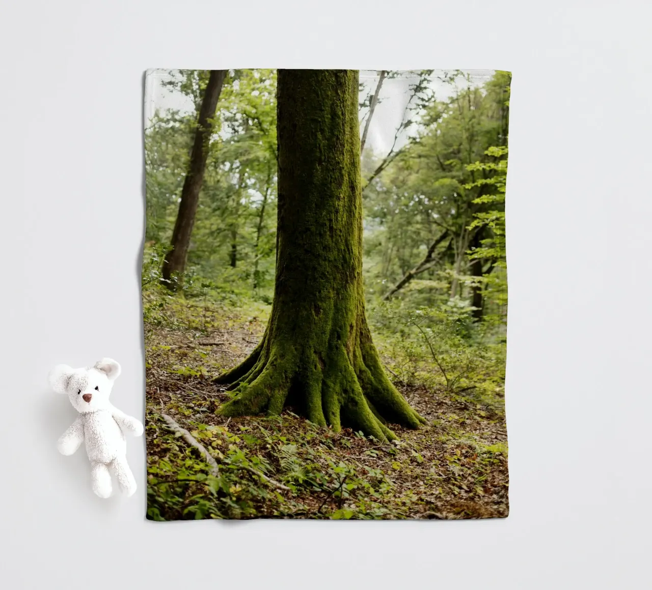 Baum in Bourgogne - Franche Comté, Frankreich coperta in pile da Simon Koy