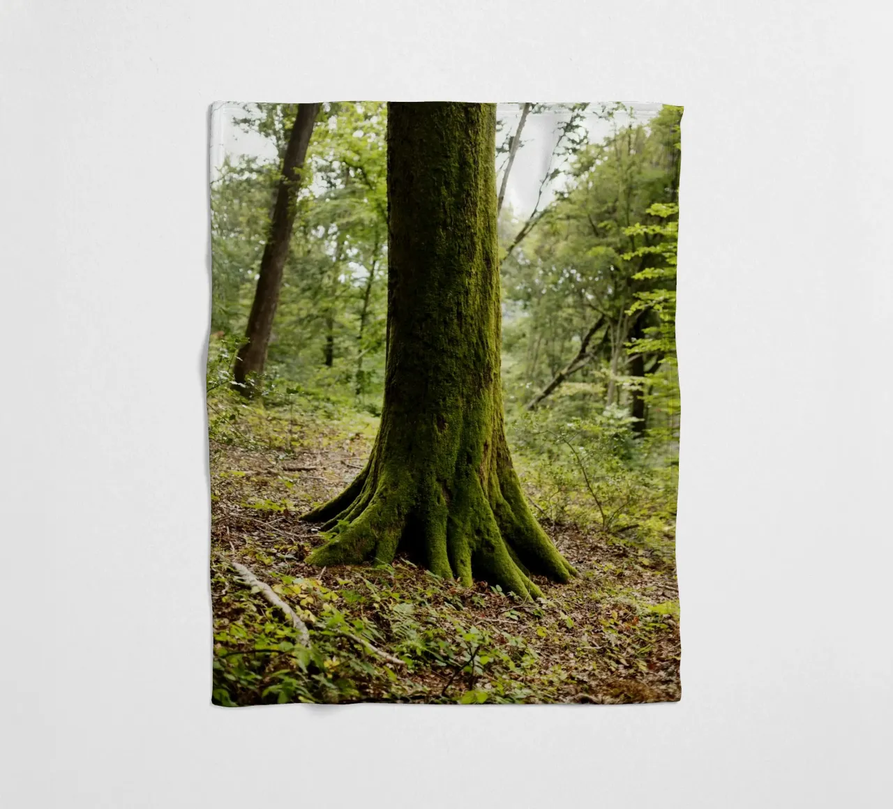 Baum in Bourgogne - Franche Comté, Frankreich coperta in pile da Simon Koy