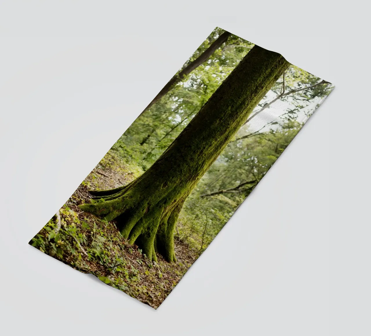 Baum in Bourgogne - Franche Comté, Frankreich telo mare da Simon Koy