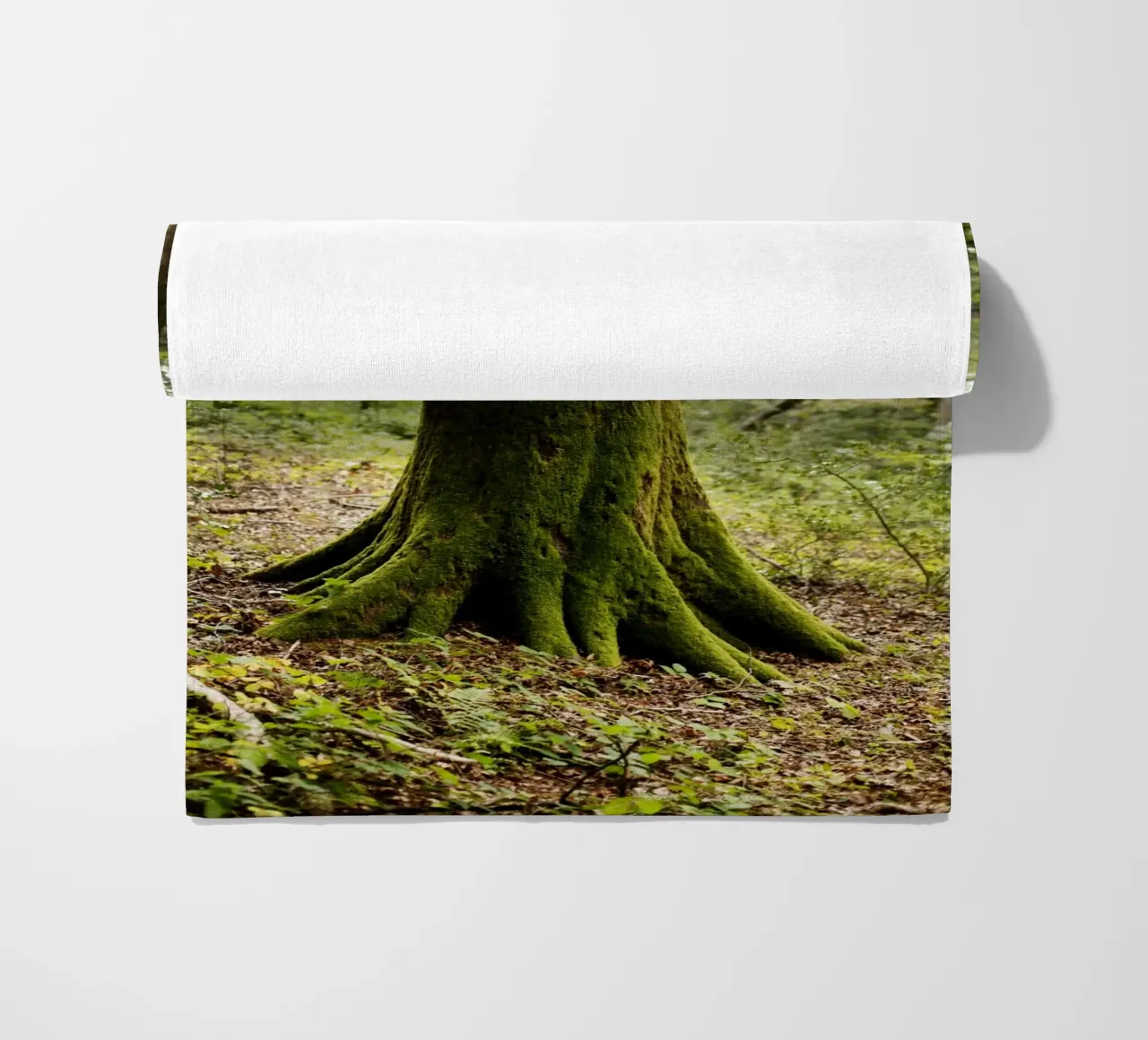 Baum in Bourgogne - Franche Comté, Frankreich telo mare da Simon Koy