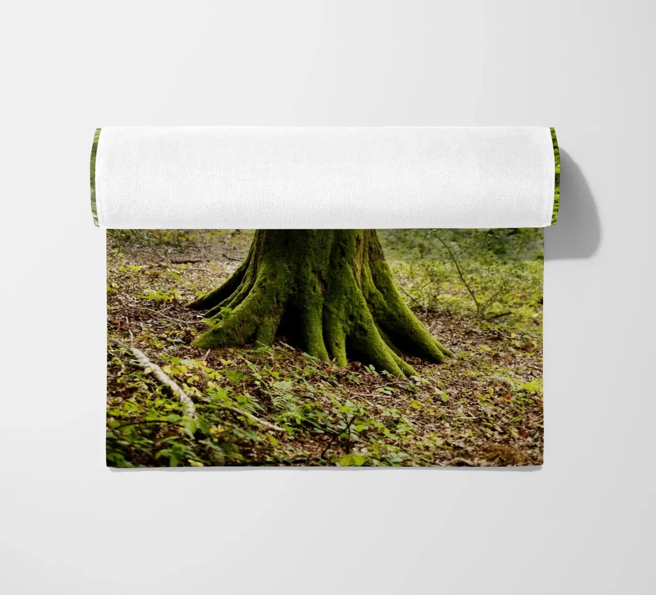 Baum in Bourgogne - Franche Comté, Frankreich telo mare da Simon Koy
