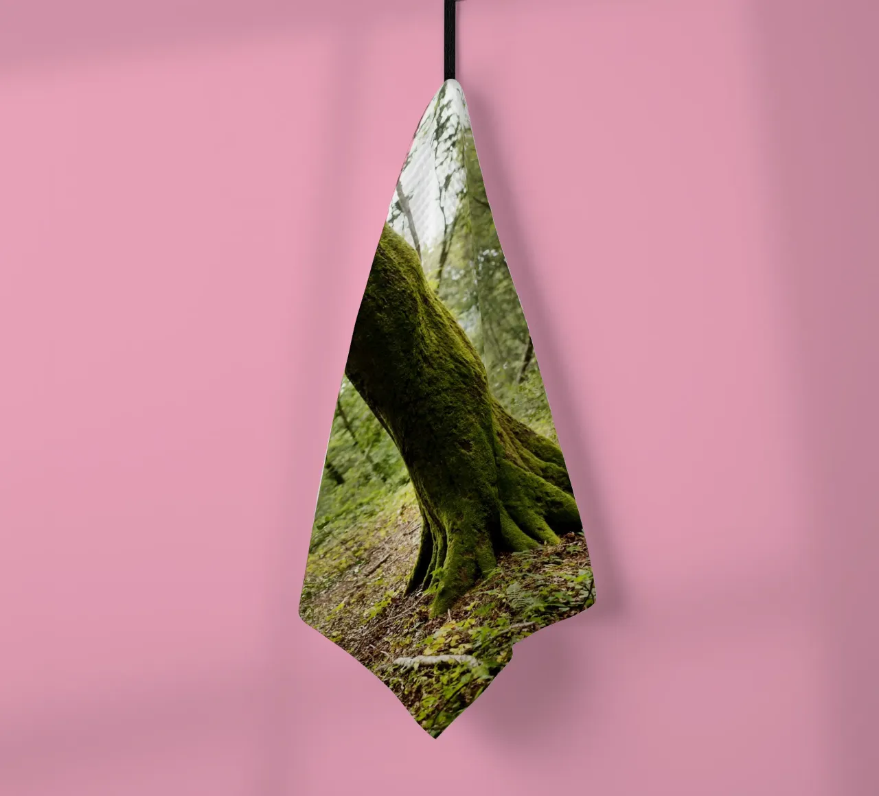 Baum in Bourgogne - Franche Comté, Frankreich canovaccio da cucina da Simon Koy