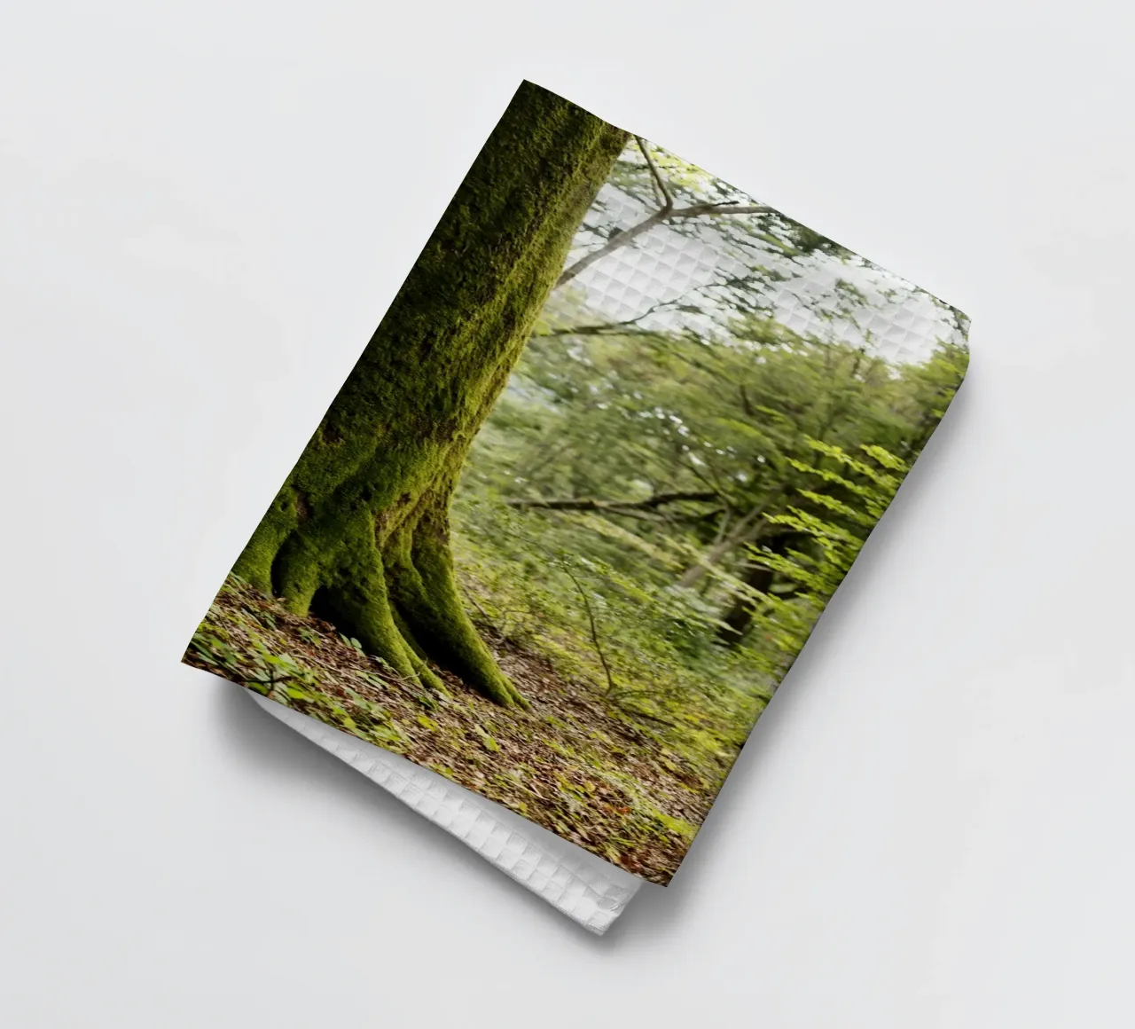 Baum in Bourgogne - Franche Comté, Frankreich canovaccio da cucina da Simon Koy