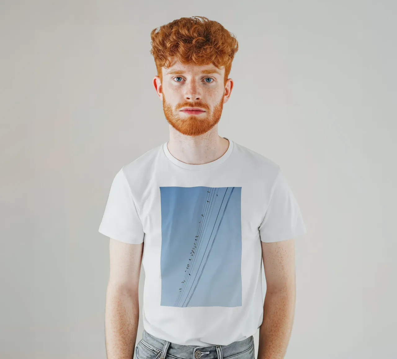 Uccelli sulle linee elettriche in Bourgogne - Franche Comté t-shirt da Simon Koy