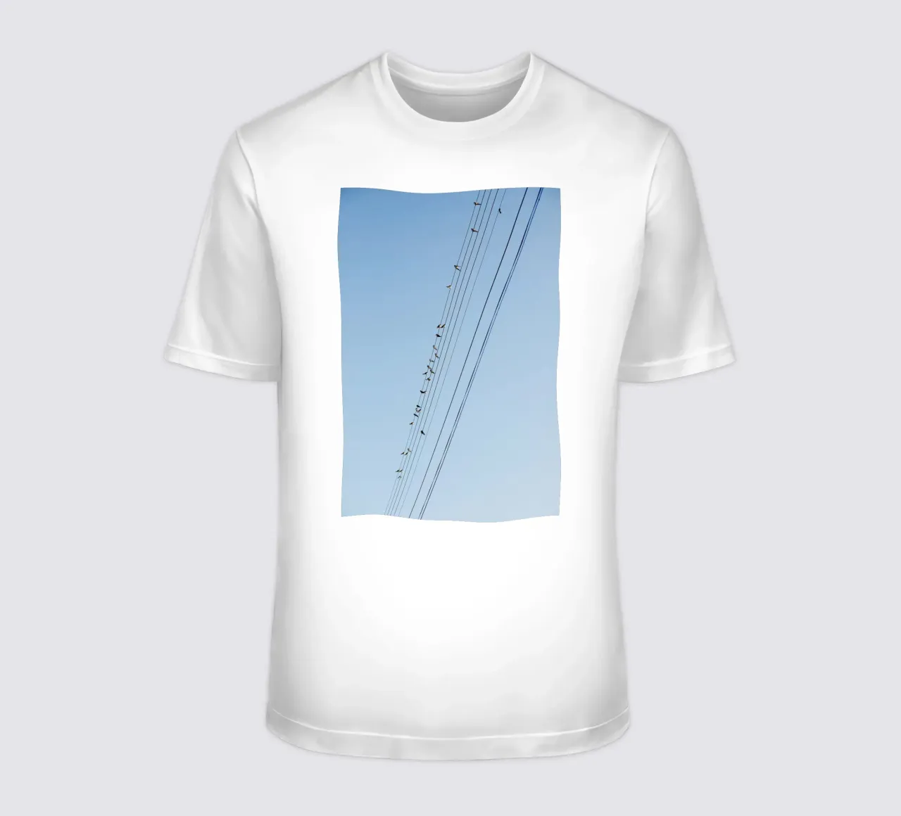 Uccelli sulle linee elettriche in Bourgogne - Franche Comté t-shirt da Simon Koy