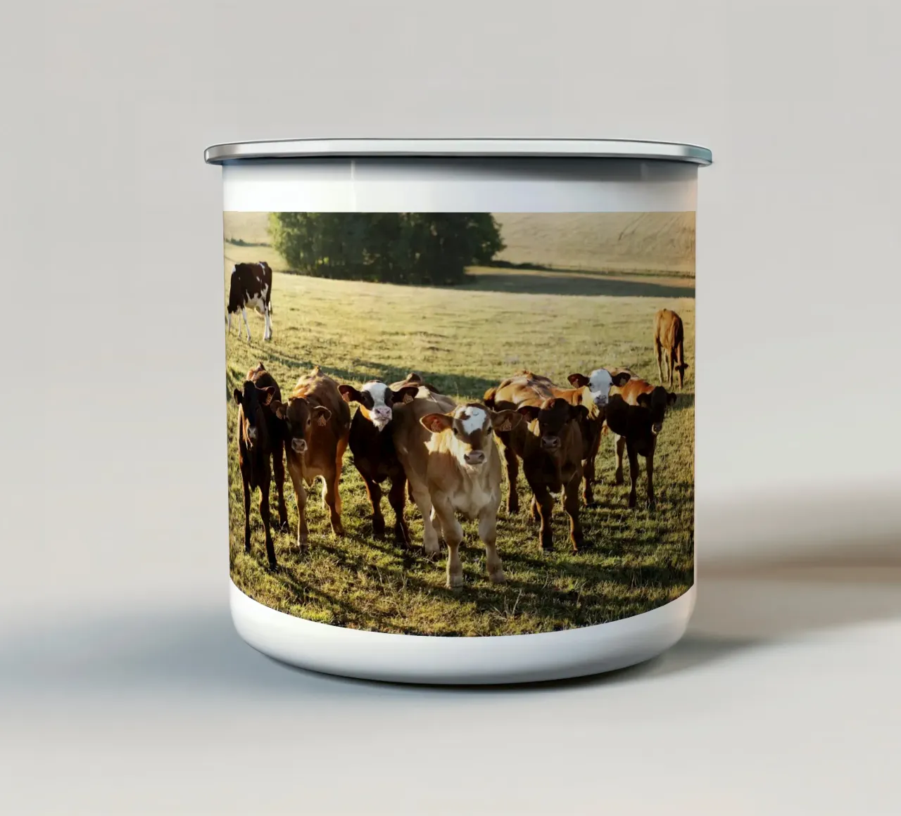 Kühe in Bourgogne - Franche Comté, Frankreich tazza in smalto da Simon Koy