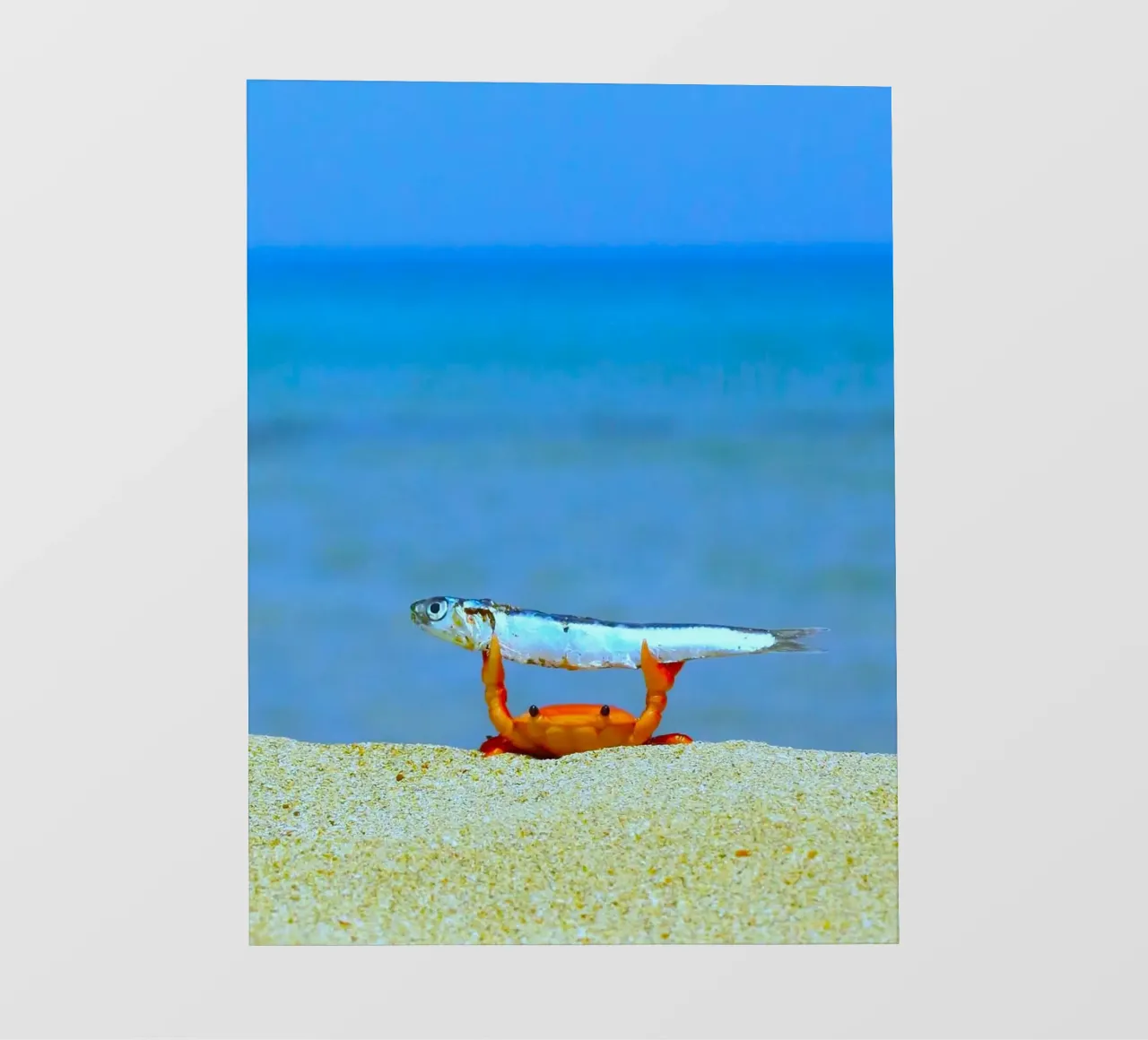 crab fish telo in pvc da ryan