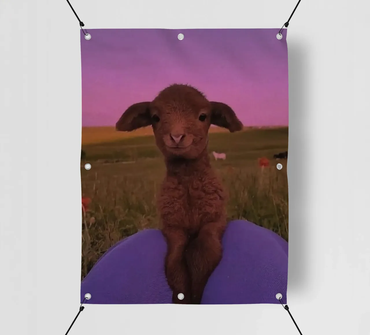 sheep relax telo in pvc da ryan