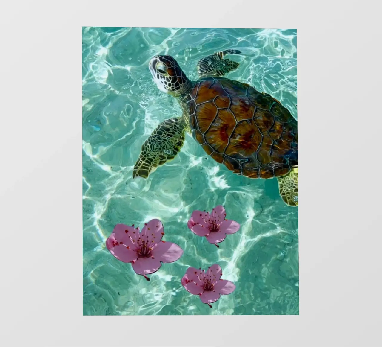 turtle flower telo in pvc da ryan