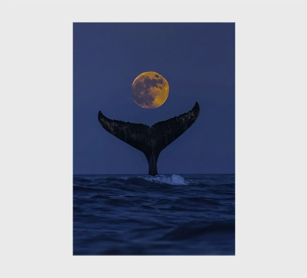 fishtail with moon notebook by ryan