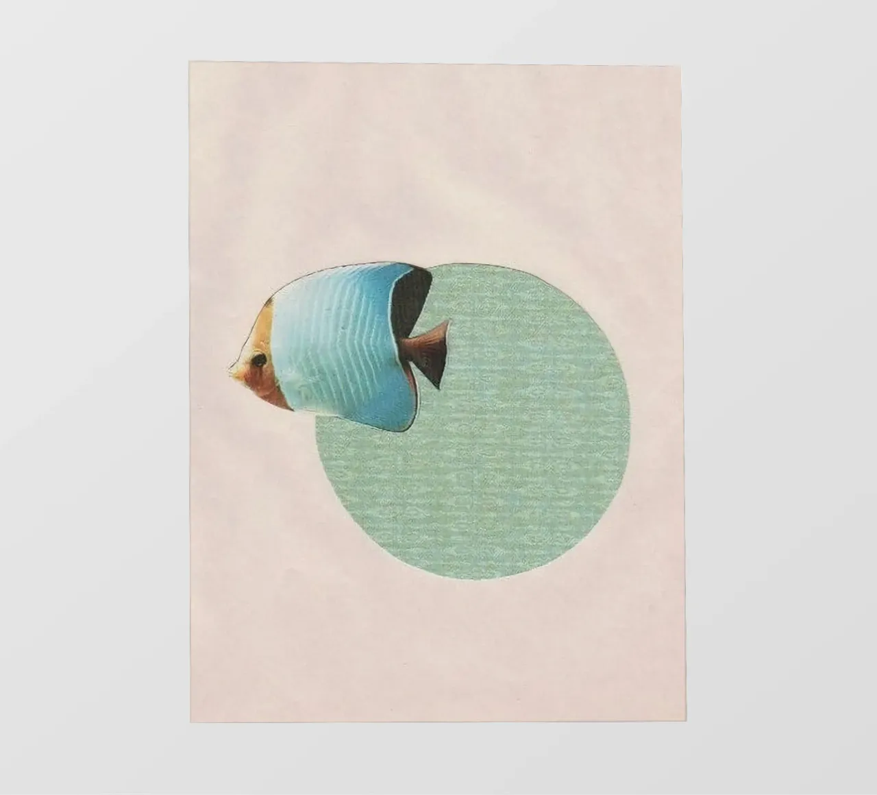 fish circle telo in pvc da ryan