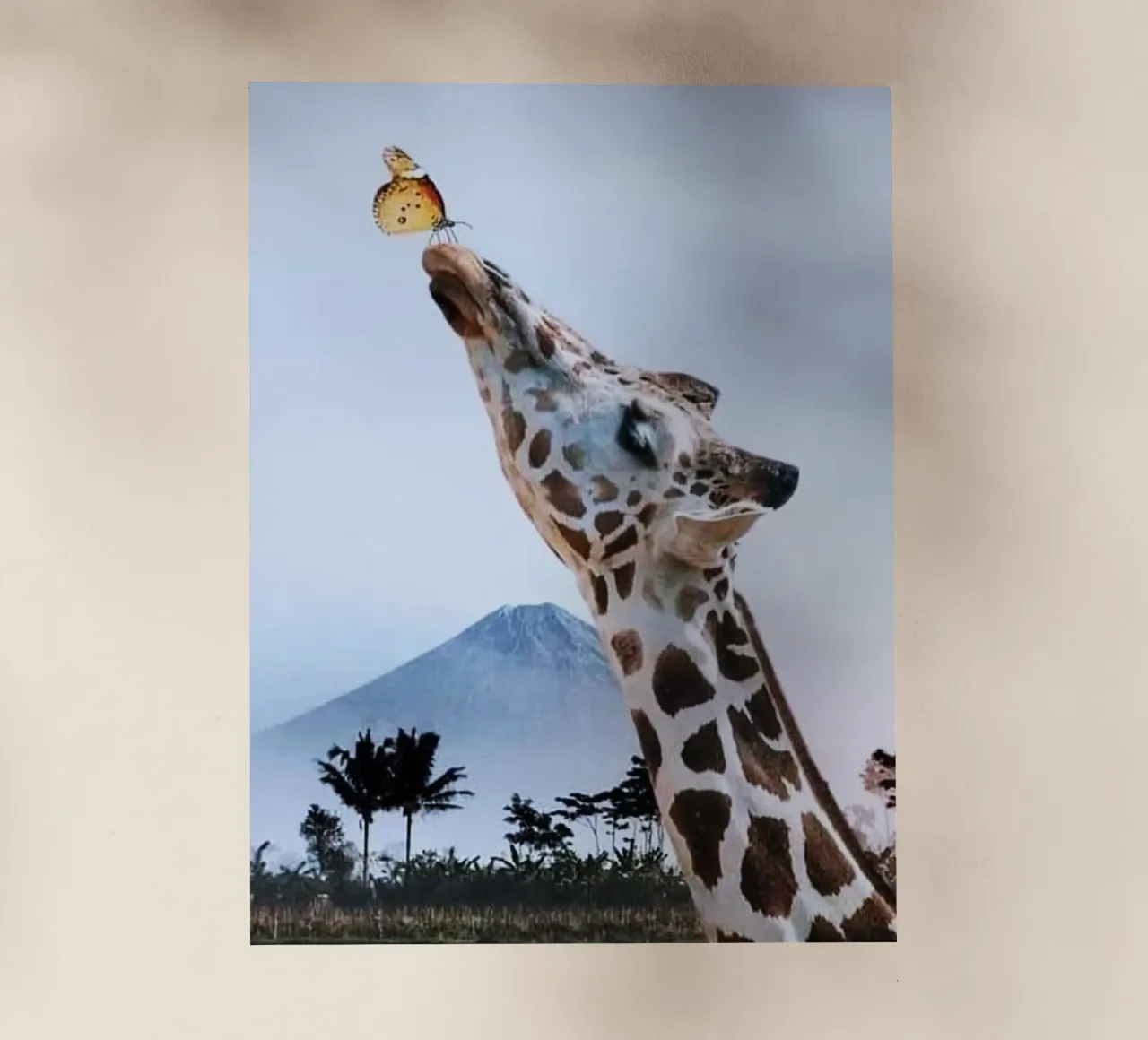 giraffe and butterfly pellicola backlit da ryan