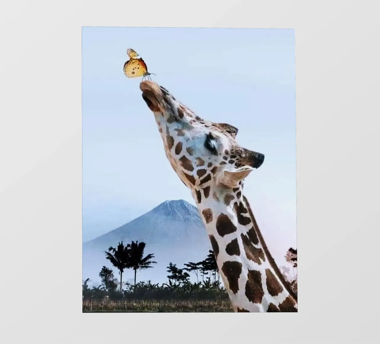 giraffe and butterfly pellicola backlit da ryan