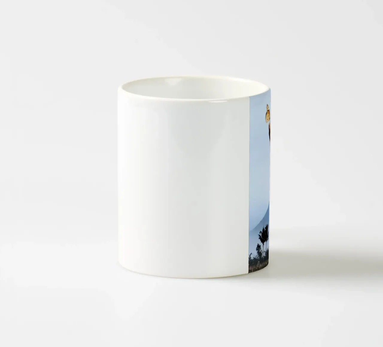 giraffe and butterfly tazza in ceramica da ryan