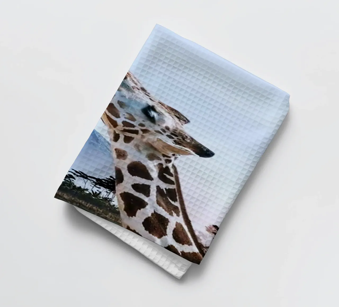 giraffe and butterfly canovaccio da cucina da ryan