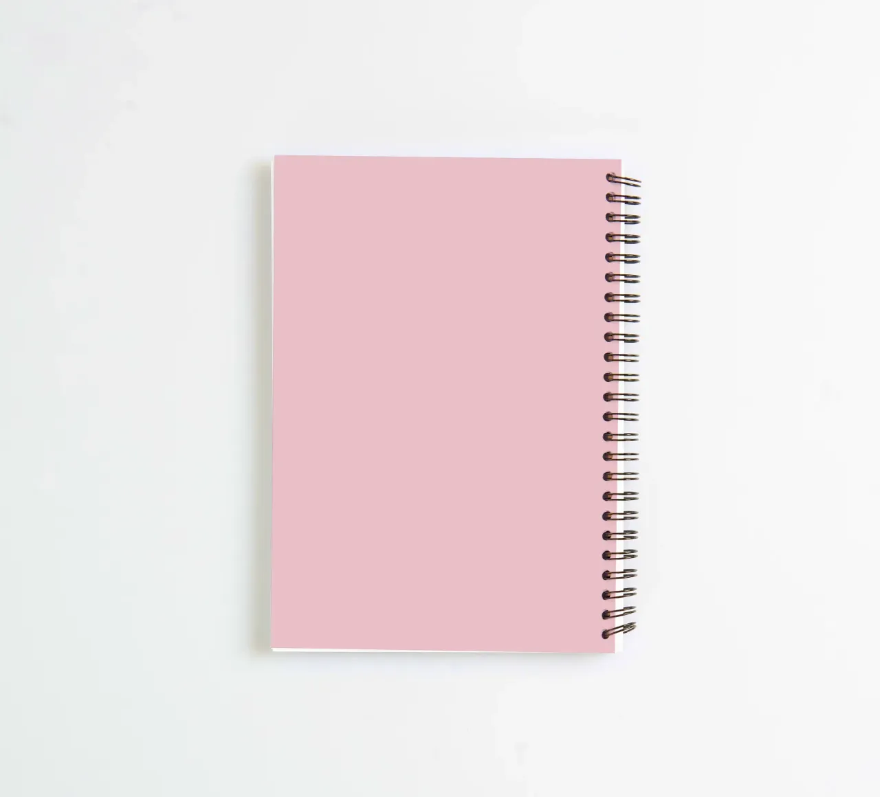 Plot twist accepted. diario ad anelli da PurePeachStudio