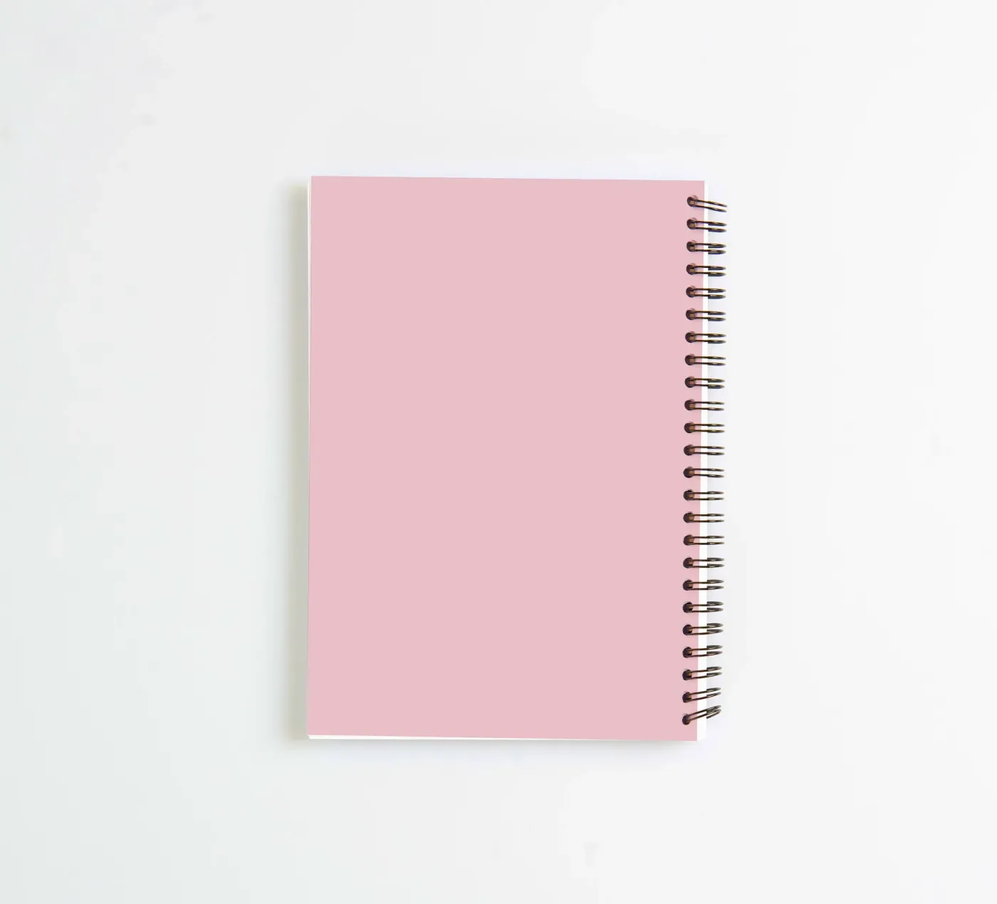 Plot twist accepted. Ringbuch von PurePeachStudio