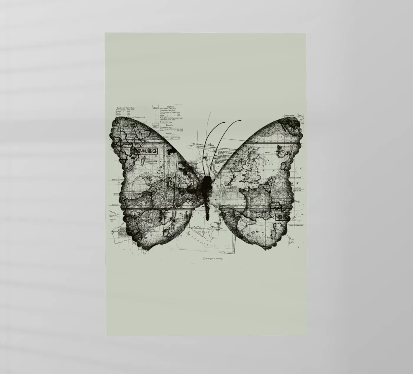 Butterfly effect pellicola backlit da Tobe Fonseca
