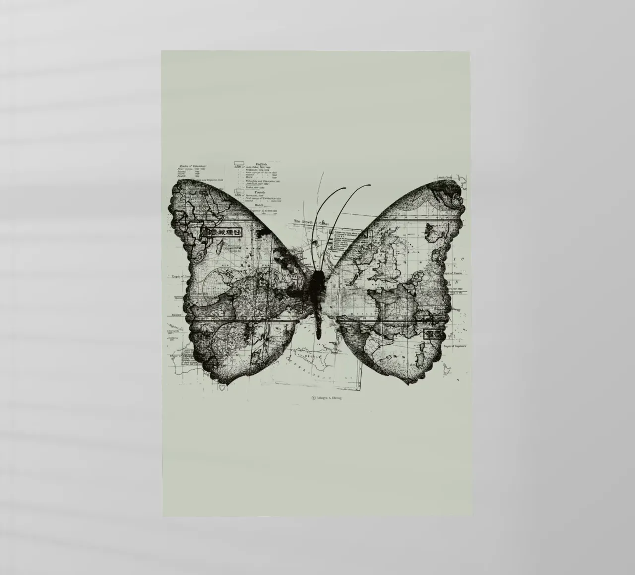 Butterfly effect pellicola backlit da Tobe Fonseca