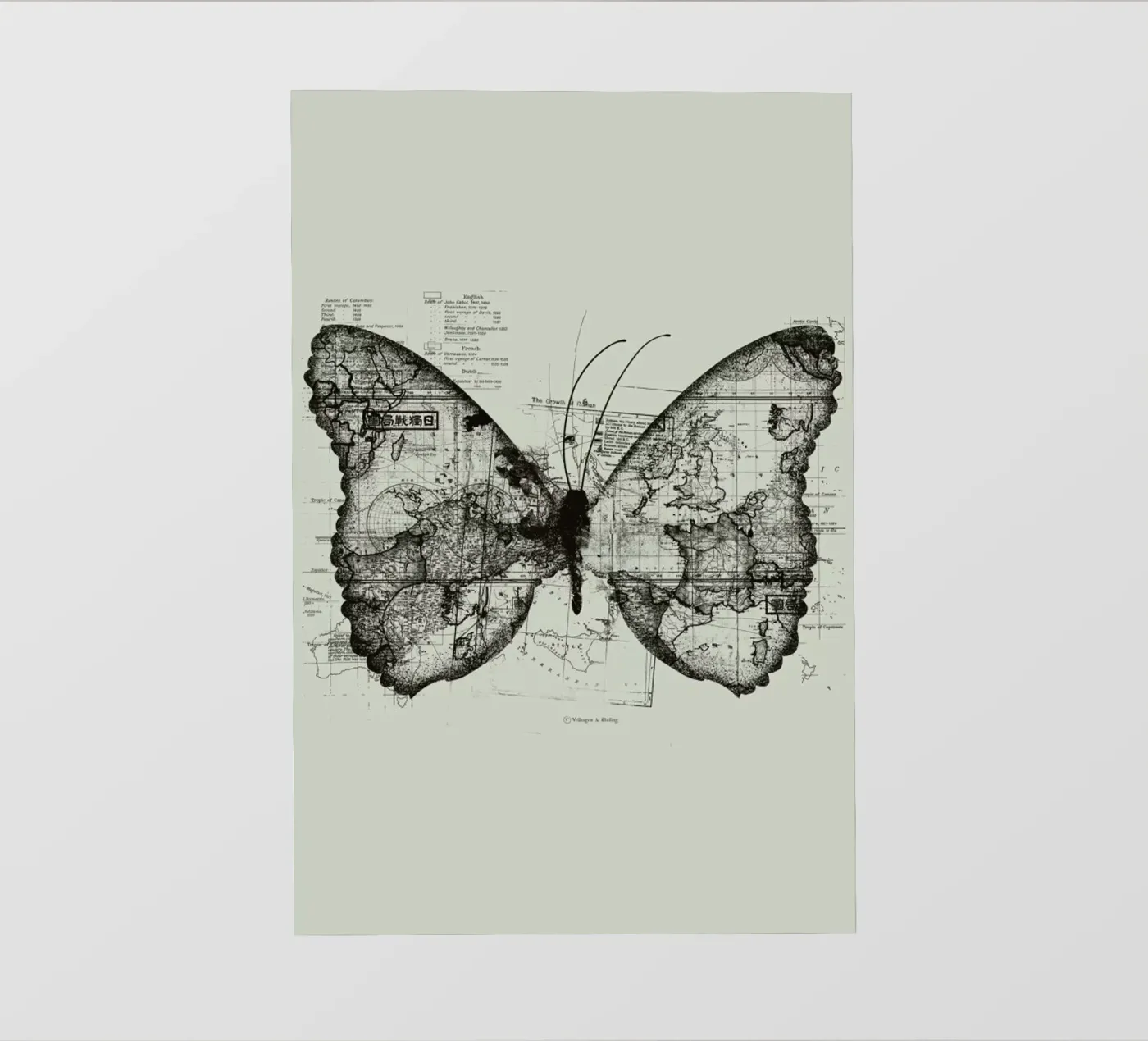 Butterfly effect pellicola backlit da Tobe Fonseca
