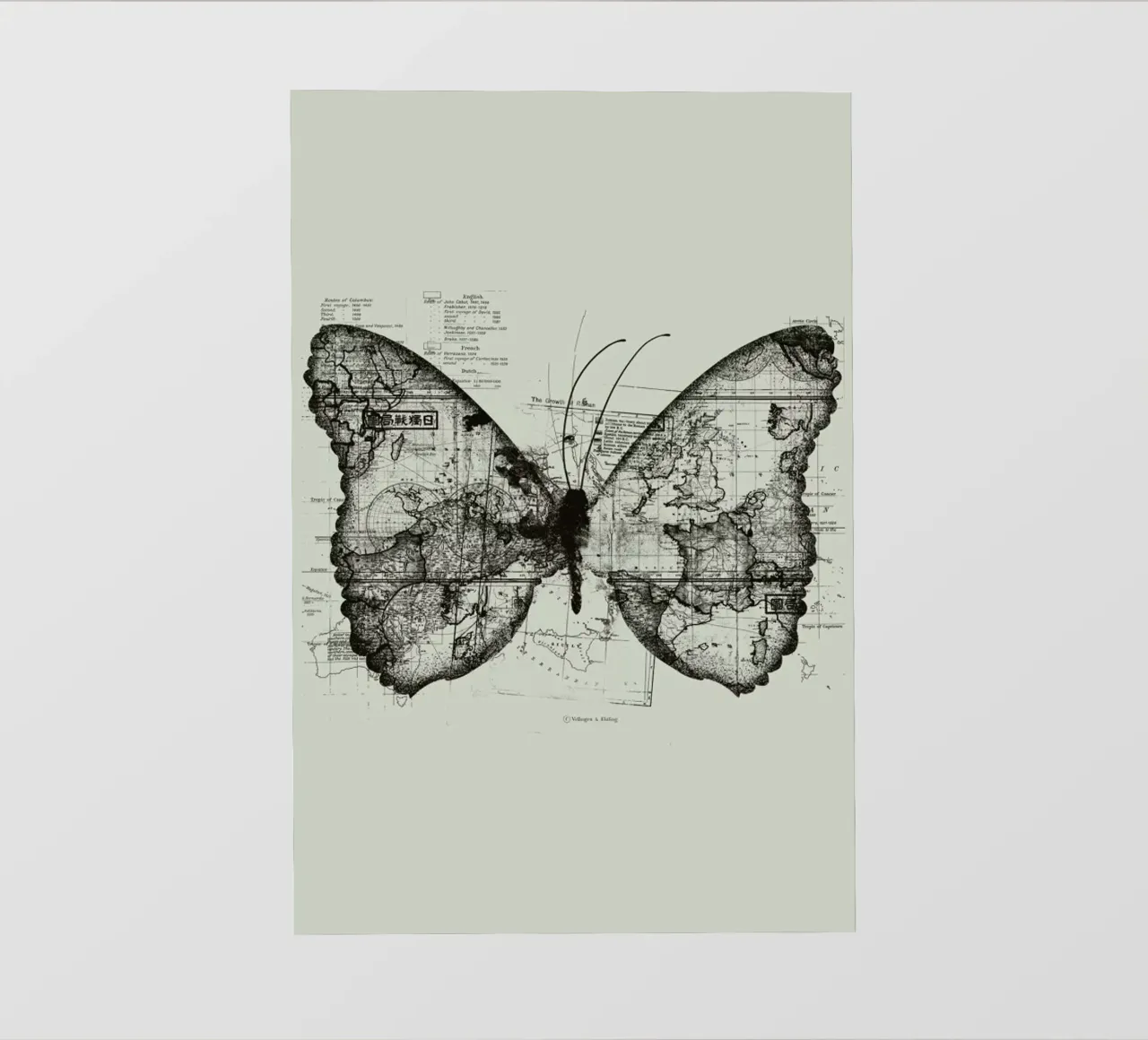 Butterfly effect telo in pvc da Tobe Fonseca