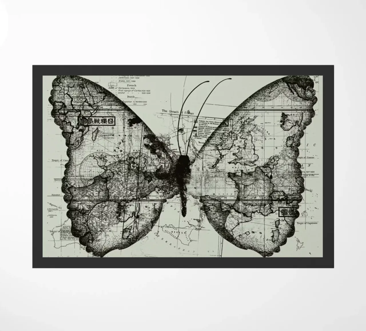 Butterfly effect zerbino da Tobe Fonseca