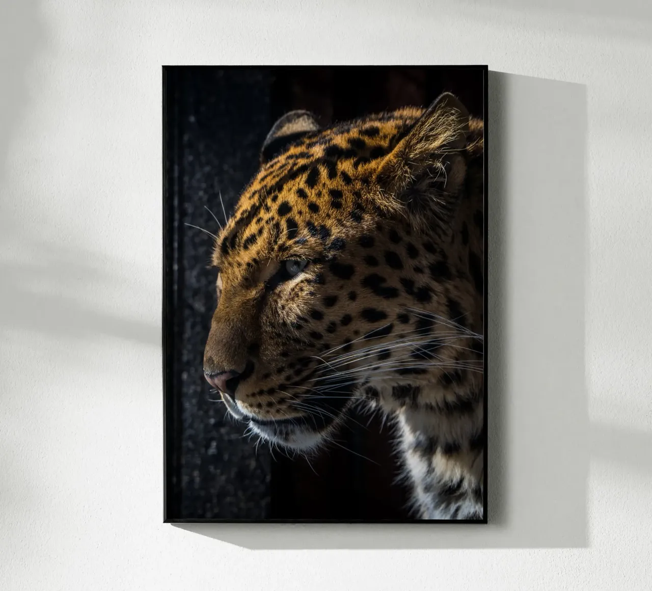 Leopard Acryl-Glas von nabakumov