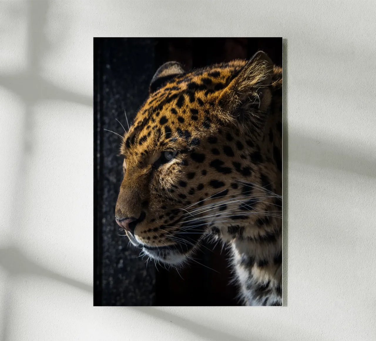 Leopard Acryl-Glas von nabakumov