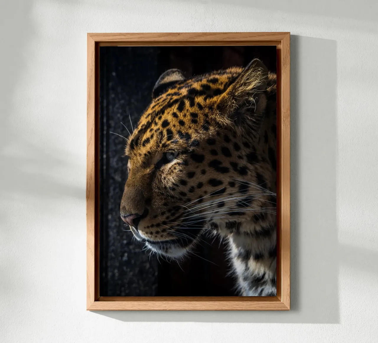 Leopard alluminio dibond da nabakumov