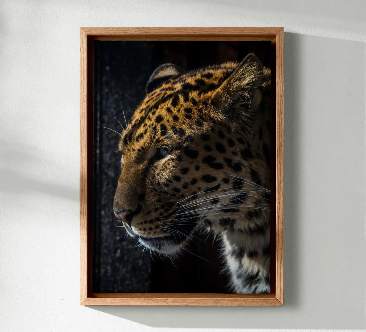 Leopard tela da nabakumov