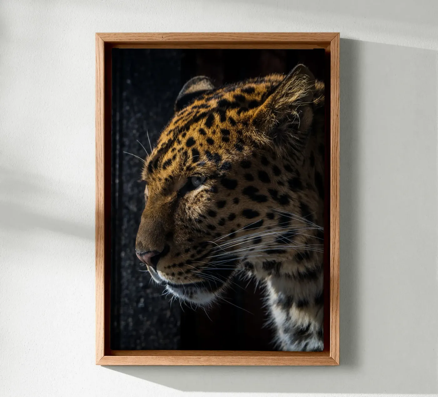 Leopard tela da nabakumov