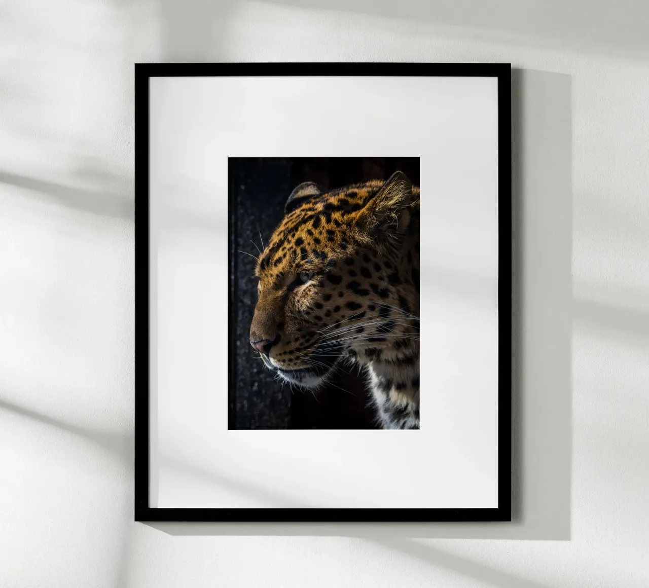 Leopard poster by nabakumov