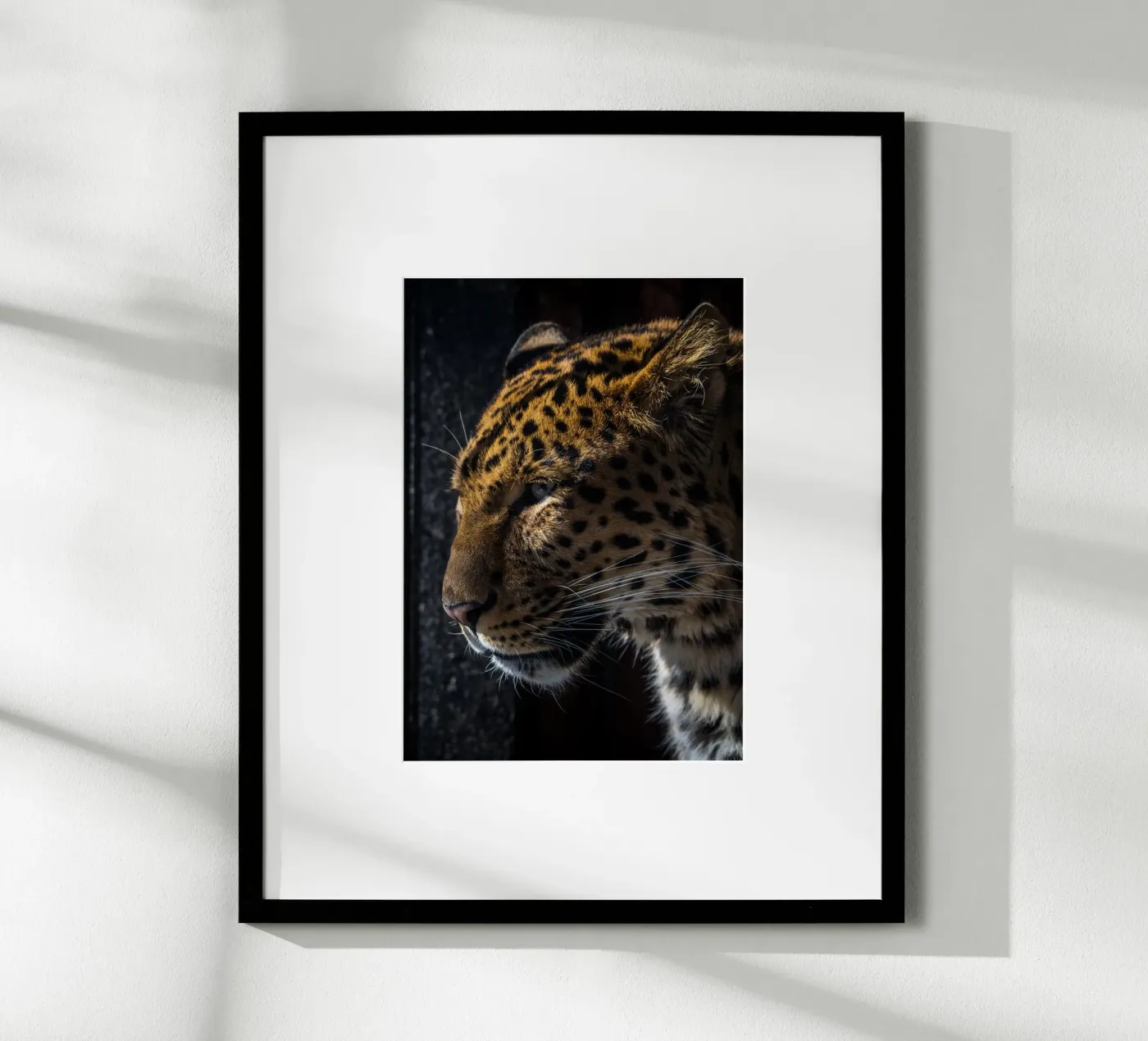Leopard poster van nabakumov