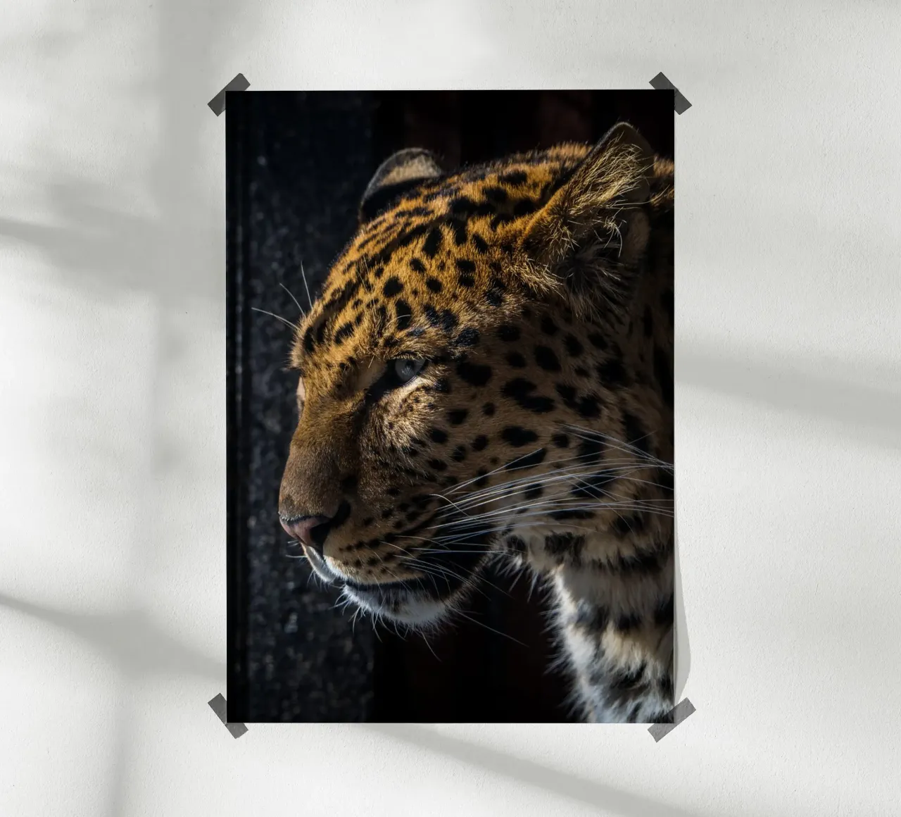Leopard poster by nabakumov