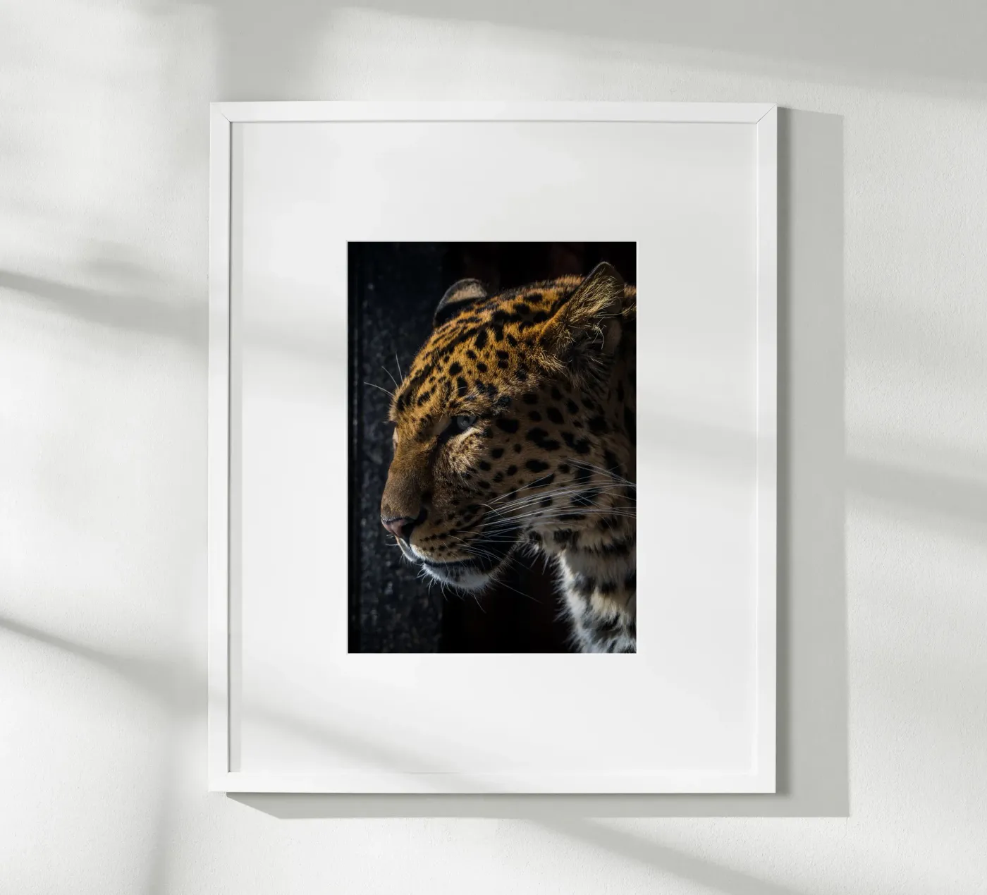 Leopard poster van nabakumov