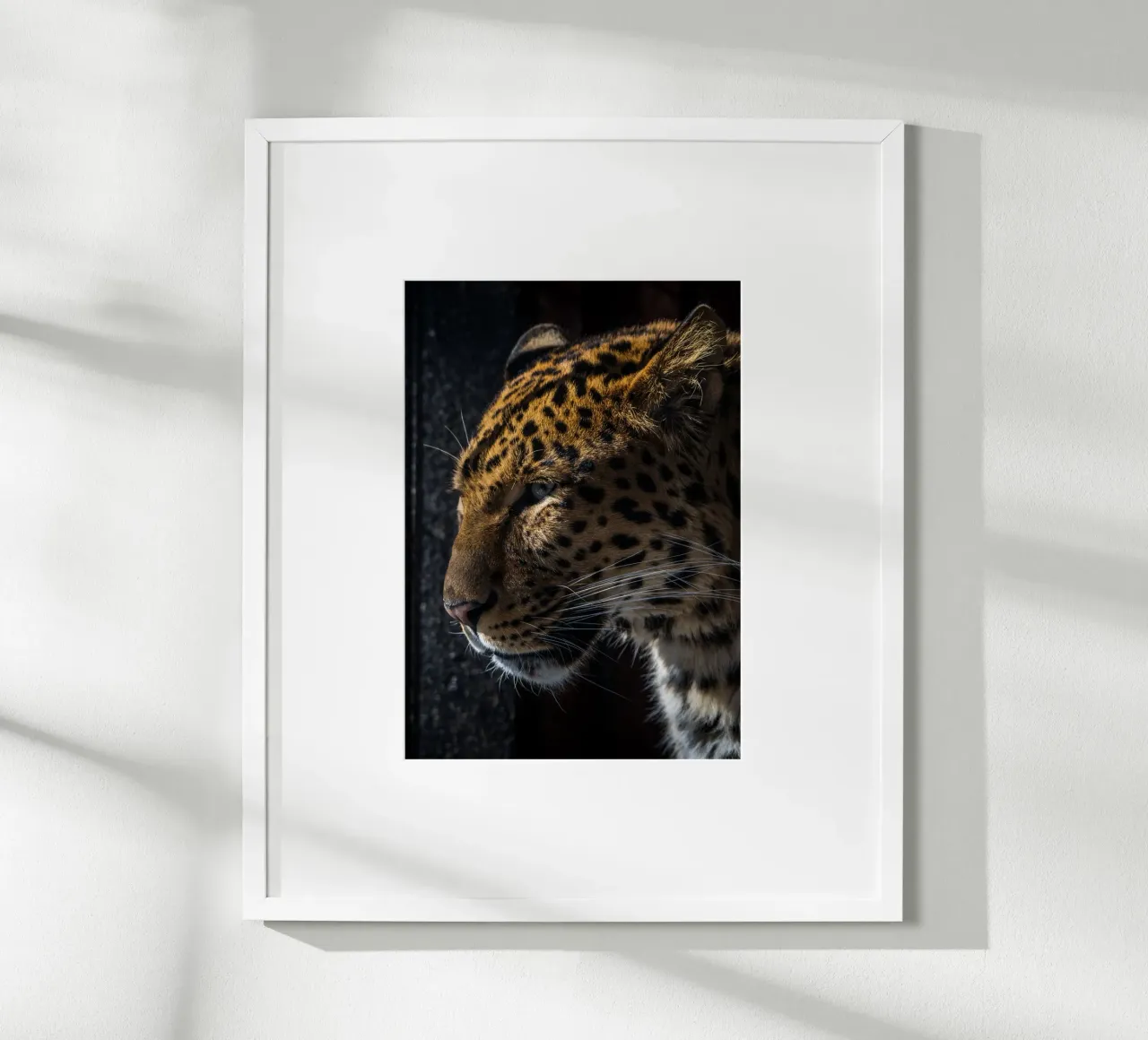 Leopard poster by nabakumov