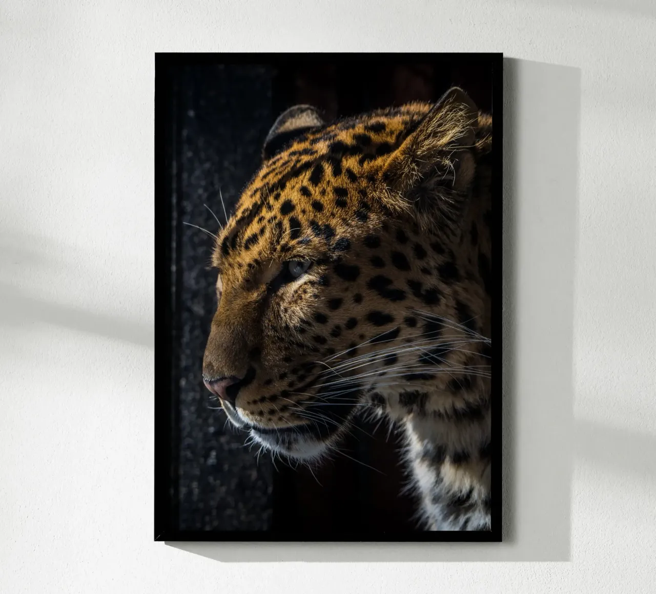 Leopard poster by nabakumov