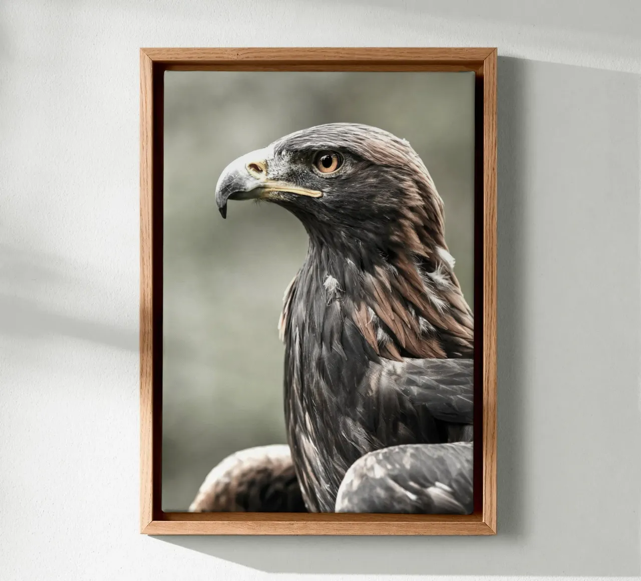 Bald Eagle canvas van nabakumov